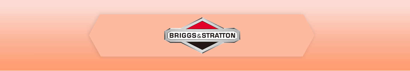 Briggs & Stratton Banner